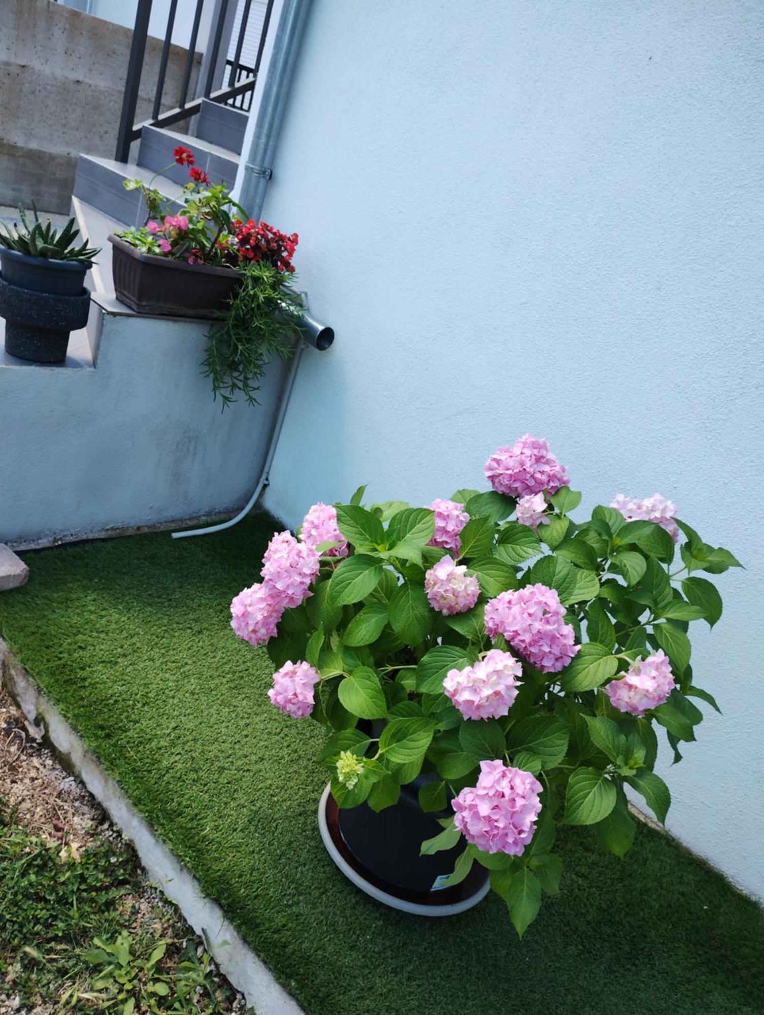 Apartman Enia Murvica  Rum bild
